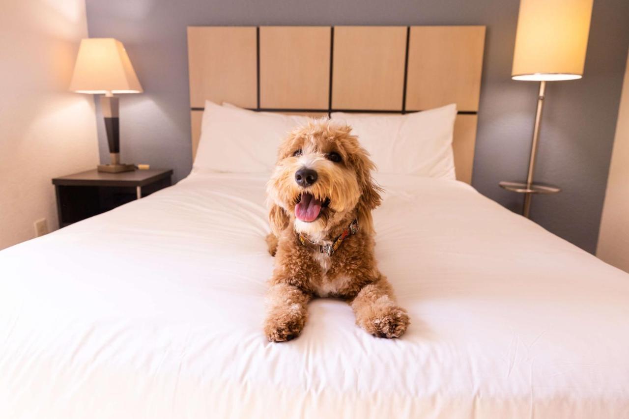 Sonesta Simply Suites Detroit Уорън Екстериор снимка